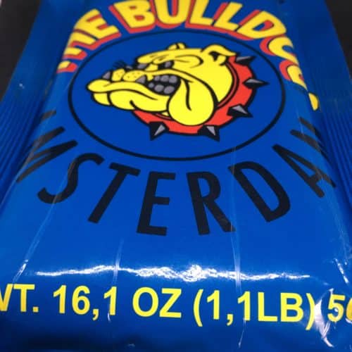 the bull dog scaled - Amsterdam Import Bulldog Hash
