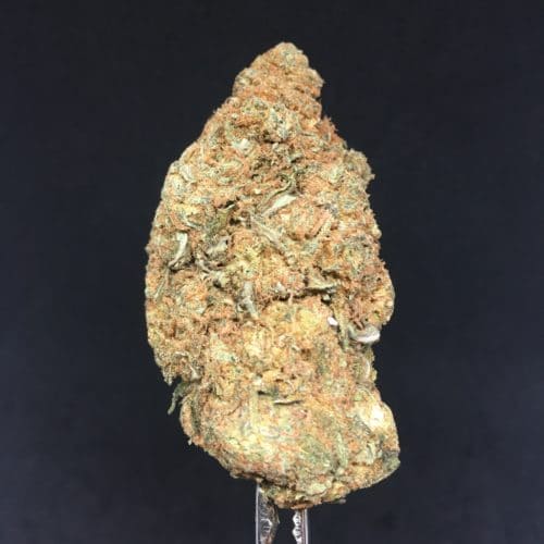 allen wrench bud scaled - #5 The Great Green Leaf Value Deal (Indica)