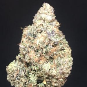 el chapo bud - Weed Delivery Toronto | Free Gift Every Order | Kind Flowers