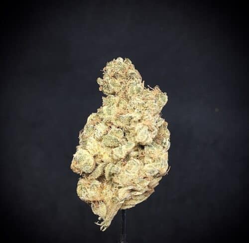 grape pie bud scaled - **4ozs=170$**Grape Pie AA+ Select Cannabis Indica Leaning Hybrid