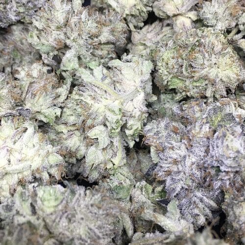 planet of the grapes scaled - Planet Of The Grapes AAAA Craft Exotic Indica Leaning Hybrid (DCF)
