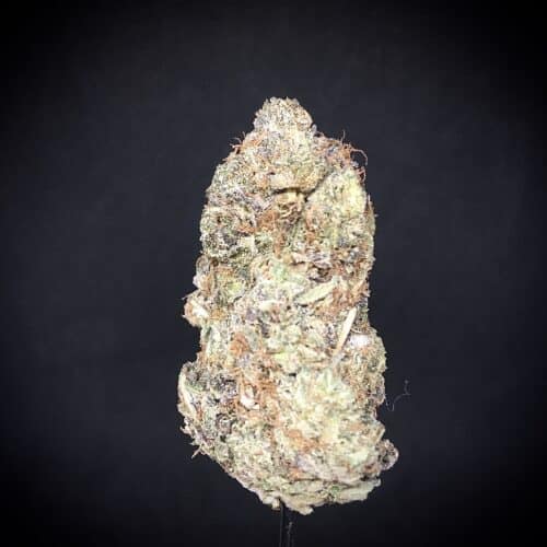 pink stomper 1 scaled - Pink Stomper AAAA+ Fire Leaf Craft Indica Leaning Hybrid (New Strain Alert)