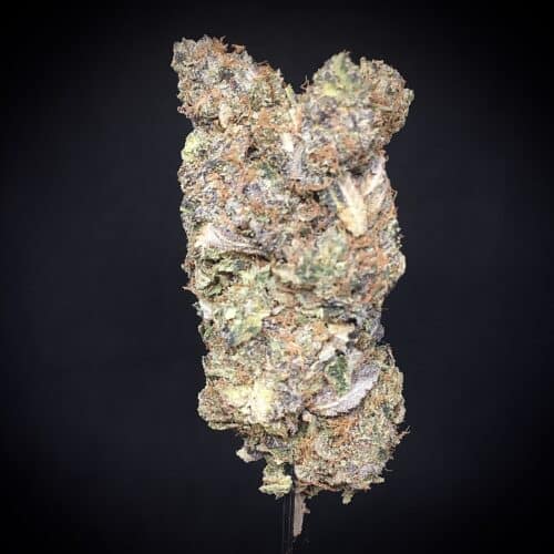 pink stomper 2 scaled - Pink Stomper AAAA+ Fire Leaf Craft Indica Leaning Hybrid (New Strain Alert)