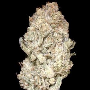 Lilac diesel bud - Weed Delivery Pickering