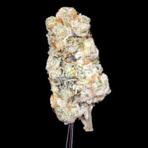 truffle monkey 1 - Weed Delivery North York