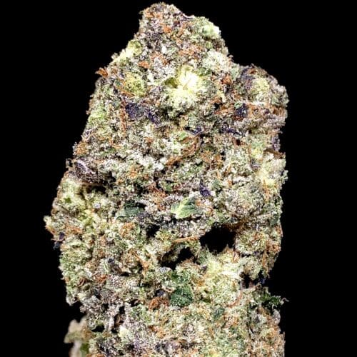 lso pink island 1 scaled - Pink Island LSO 5 Star/Immaculate B.C Indica Leaning Hybrid KCC Brand