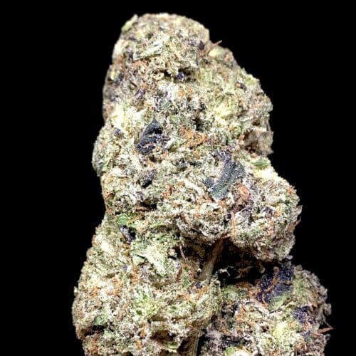 lso pink island 2 scaled - Pink Island LSO 5 Star/Immaculate B.C Indica Leaning Hybrid KCC Brand