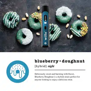 2ml flavour - 2000mg Willo THC Disposable Vape Pen - BLUEBERRY DOUGHNUT Hybrid Nightime