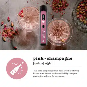 2ml flavour - 2000mg Willo THC Disposable Vape Pen - PINK CHAMPAGNE Indica Nightime