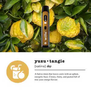 2ml flavour - 2000mg Willo THC Disposable Vape Pen - YUZU TANGIE Sativa Daytime