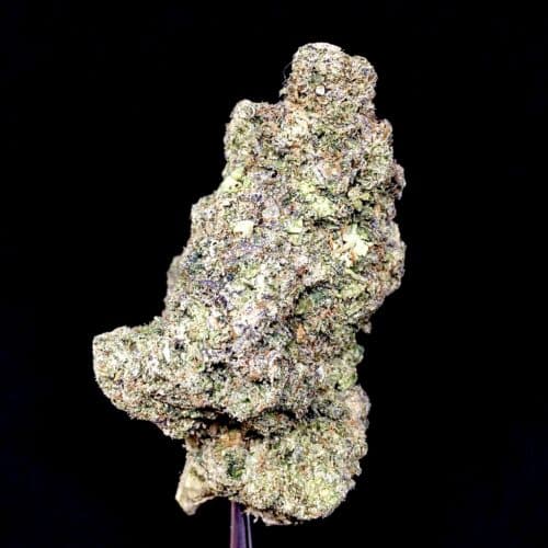 alien gas mask bud scaled - Alien Gas Mask 5 Star/Immaculate Exotic Boutique Indica Leaning Hybrid