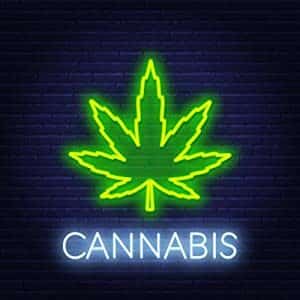 flourescent leaf cannabis - Weed Delivery Etobicoke