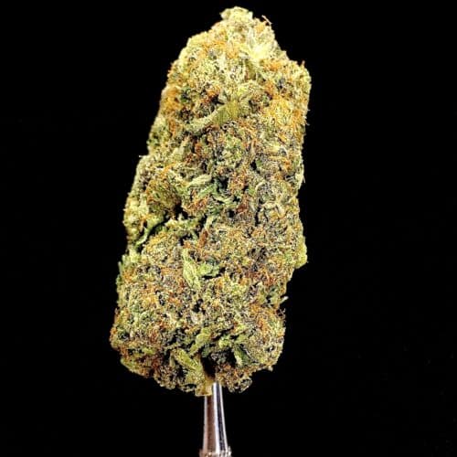 king bubba scaled - King Bubba 5 Star/Immaculate Rare Chronic Craft Slight Indica Hybrid