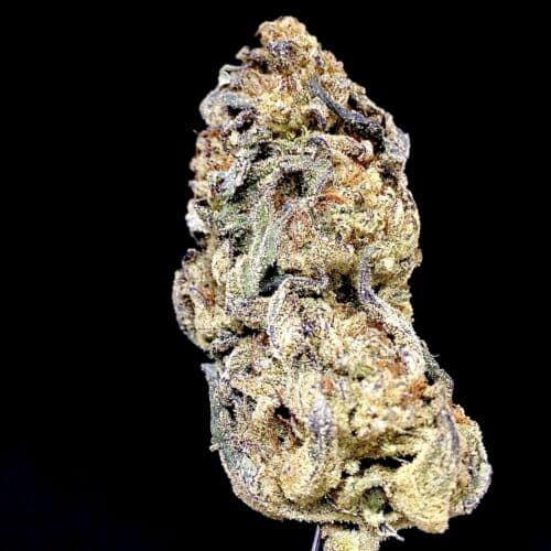 gorilla glue 1 scaled - #6 Special Leaf Deal Of The Day