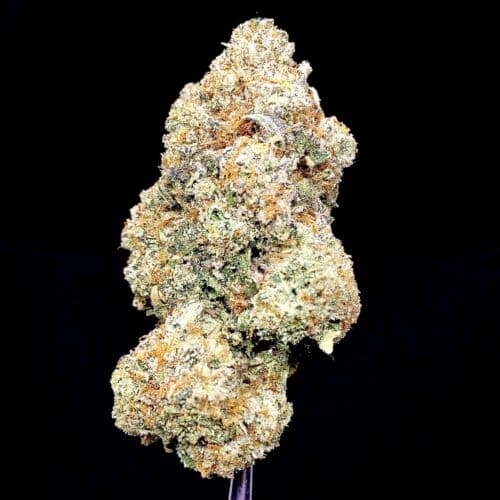 pink panther 1 scaled - Pink Panther AAAA Exotic B.C Craft Sativa