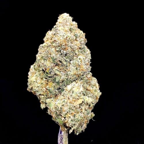 pink panther 2 scaled - Pink Panther AAAA Exotic B.C Craft Sativa