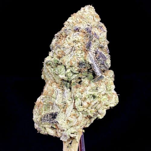recon scaled - Recon AAA Boutique B.C Premium Indica Leaning Hybrid
