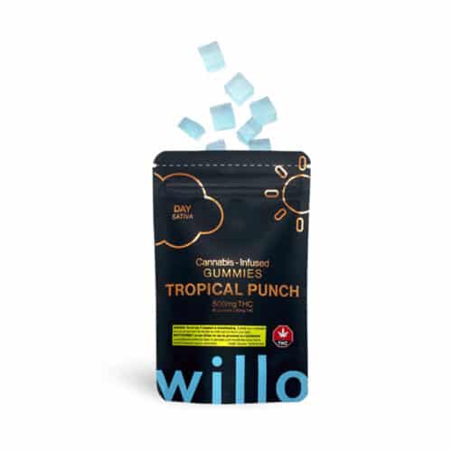 willo 500mg Tropical Punch - 500mg THC Willo Tropical Punch (Day) Gummies