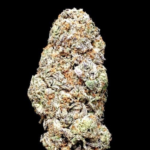 apple fritter bud scaled - Apple Fritter AAA+ Premium Exotic Cannabis From B.C Hybrid