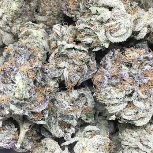 astro pink bag scaled - Astro Pink AAAA Craft Kind Craft Chronic DCF Indica