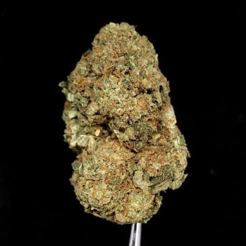 grease monkey scaled - #3 The 420 Flower Deal (Sativa, Hybrid, Indica) 5 Oz + 4x500MG Gummy