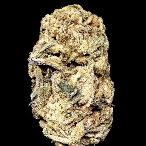king kush 2 scaled - King Kush AAA Premium Chronic Indica Cannabis From B.C