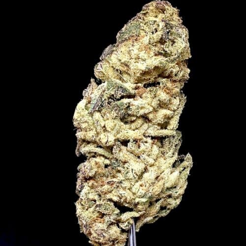king kush bud scaled - King Kush AAA Premium Chronic Indica Cannabis From B.C
