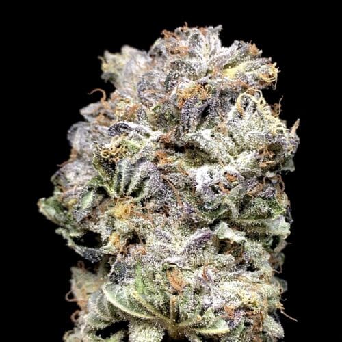 pog bud scaled - Planet Of The Grapes AAA+ Premium Ethos Exotic Indica Leaning Hybrid (DCF)
