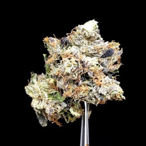 outrageous pink scaled - Outrageous Pink Kush AAAA Craft B.C Rainbow Leaf Farms Indica
