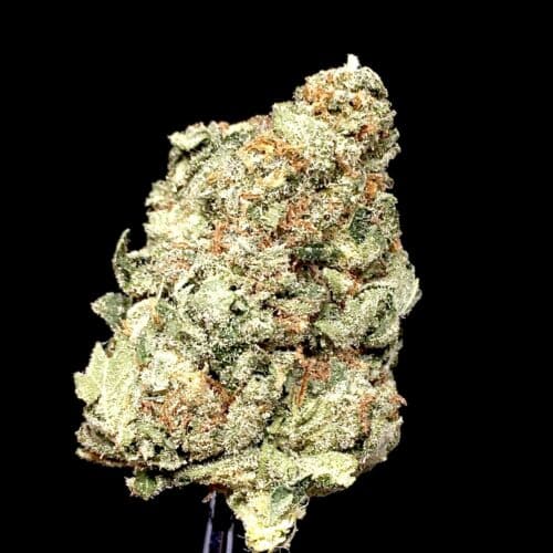 pink death bud scaled - Pink Death Star AAA+ Premium B.C Indica