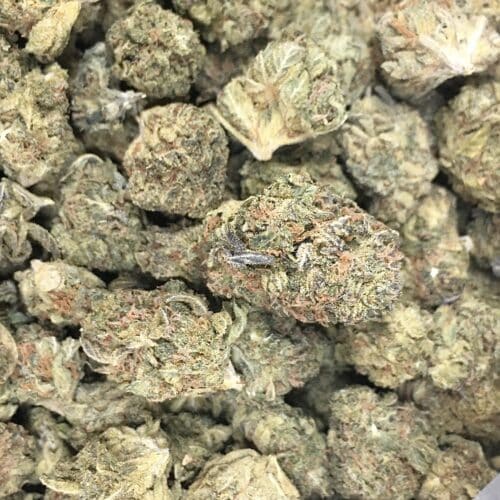 purple candy buds scaled - **4ozs=200$** Purple Candy AA Select Cannabis Indica Leaning Hybrid