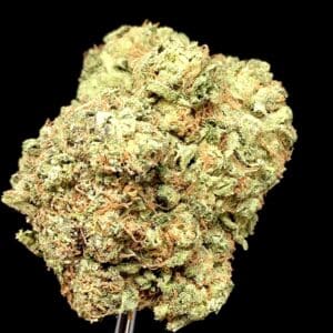 papaya punch - Weed Delivery Pickering