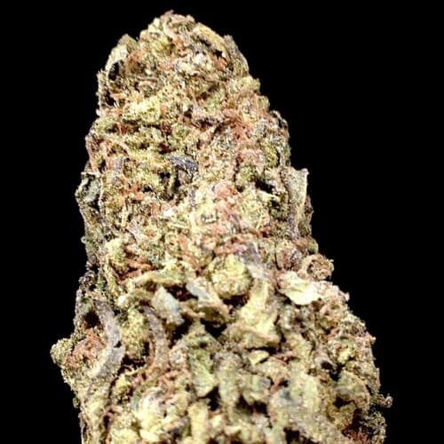 Sour flower scaled - **4ozs=200$** Sour Flower AA Select Cannabis Hybrid