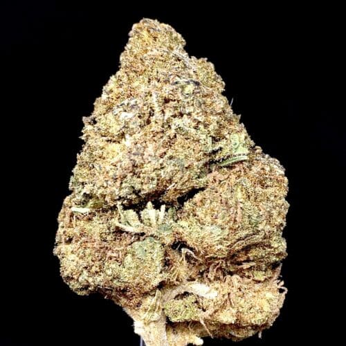 dosidos scaled - Do-Si-Dos AAA Premium Cannabis From B.C Indica Leaning Hybrid (2Ozs=180$)