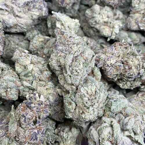 ghost of trinity buds scaled - Ghost Of Trinity Exotic Rare AAA+ Premium B.C Sativa Hybrid