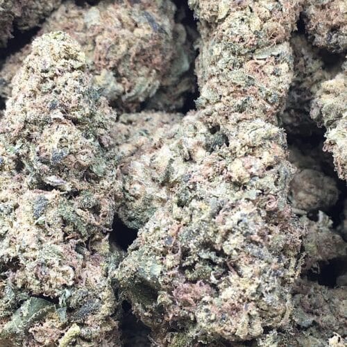 la con buds scaled - L.A Confidential AAA Premium Cannabis From B.C Indica (2Ozs=180$)
