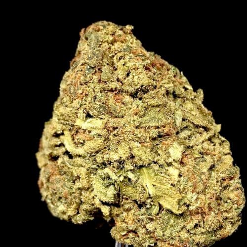 pink kush bud scaled - Pink Kush AA+ Select B.C Cannabis Indica (112g = 260$)