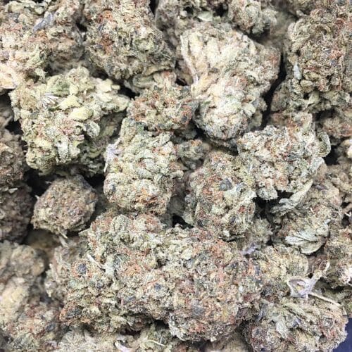 pink kush buds scaled - Pink Kush AA+ Select B.C Cannabis Indica (112g = 260$)