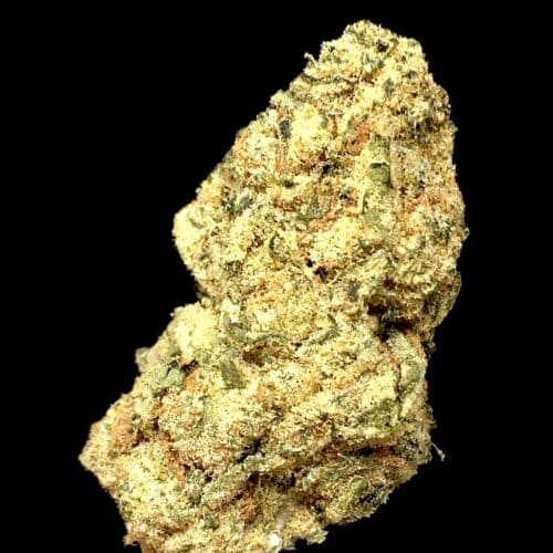 dts bag of buds scaled - DTS Sativa Leaning Premium Bud