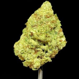 durban haze bud - Weed Delivery Toronto | Cannabis Dispensary | Kind Flowers