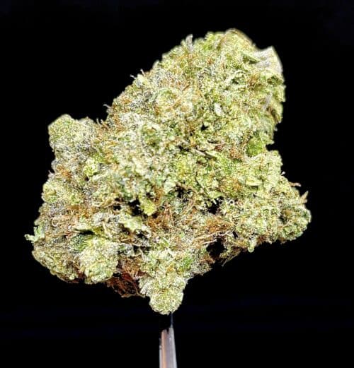 pink rockstar scaled - Pink Rockstar B.C 5 Star/Immaculate Indica Leaning Hybrid THC Brand