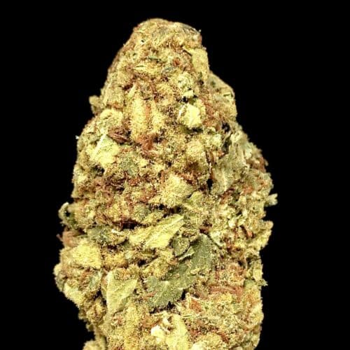 tangie bud scaled - Tangie AA+ Select B.C Cannabis Sativa Leaning Hybrid (112g = 260$)