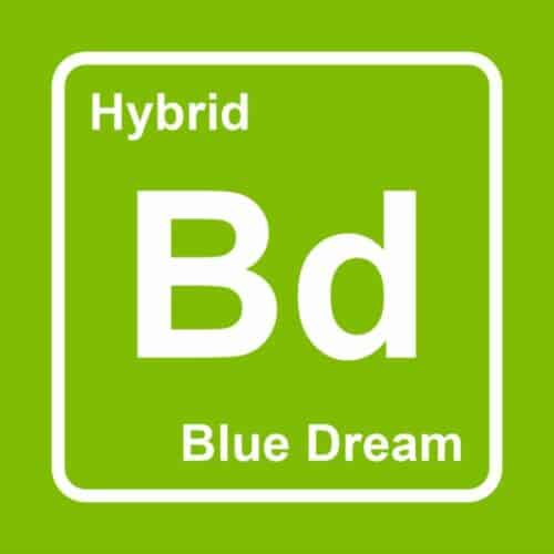 blue dream logo 600x600 1 - Elements THC Disposable Weed Pen (2ml) Hybrid Blue Dream
