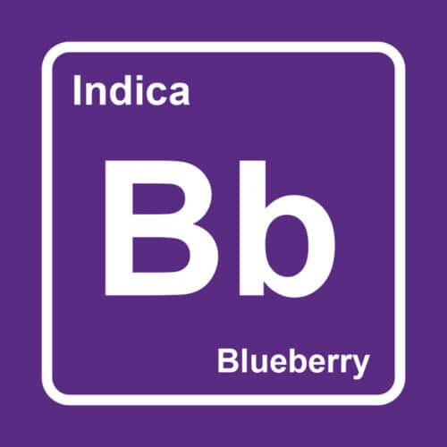 blueberry logo - Elements THC Disposable Weed Pen (2ml) Indica Blueberry