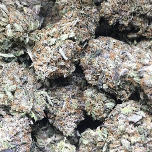 greasy death bubba buds scaled - Pink Death Bubba AAAA Craft B.C Indica ***KCC Brand***