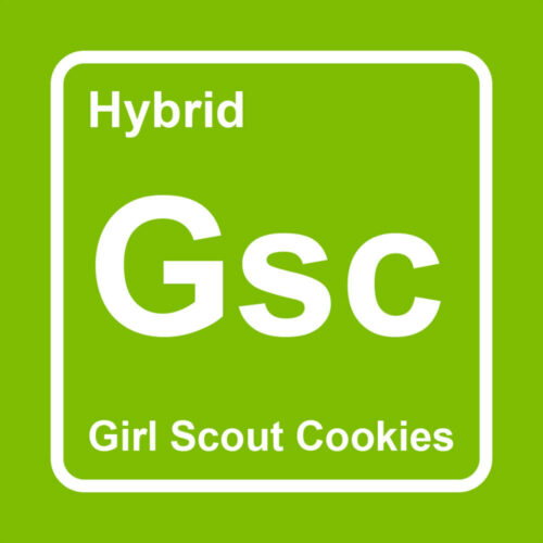 gsc logo - Elements THC Disposable Weed Pen (2ml) Hybrid Girl Scout Cookies