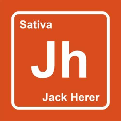 jack herrer logo - Elements THC Disposable Weed Pen (2ml) Sativa Jack Herrer