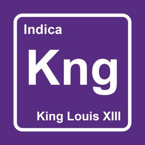 king louie logo - Elements THC Disposable Weed Pen (2ml) Indica King Louis XIII