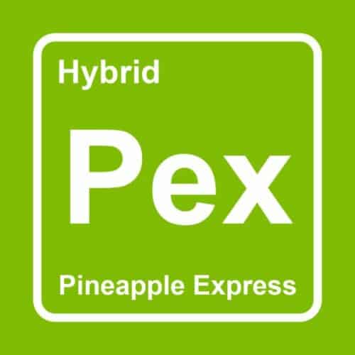 pineapple express logo - Elements THC Disposable Weed Pen (2ml) Hybrid Pineapple Express