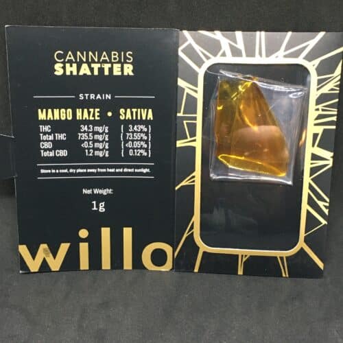mango haze shatter willo scaled - Mango Haze Premium Willo Shatter Sativa